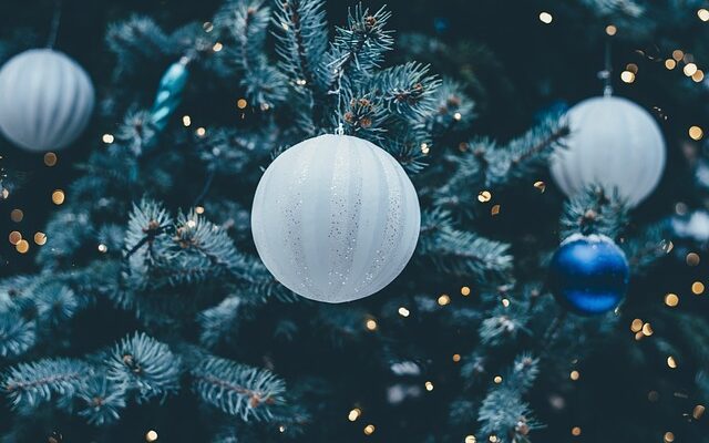 Vælg den perfekte juletræsfod til dit træ - en guide